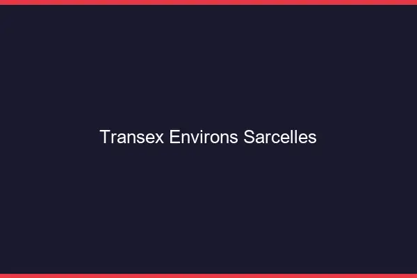 Transex Environs Sarcelles