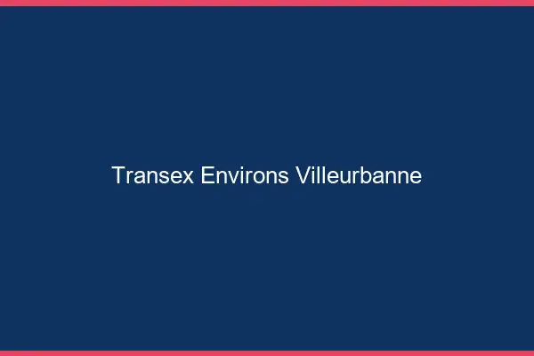 Transex Environs Villeurbanne
