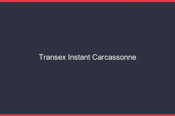 Transex Instant Carcassonne