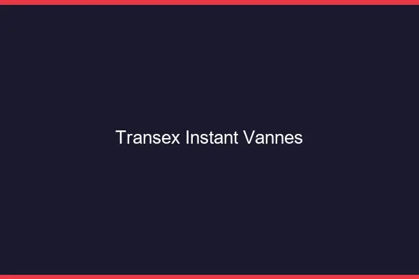 Transex Instant Vannes