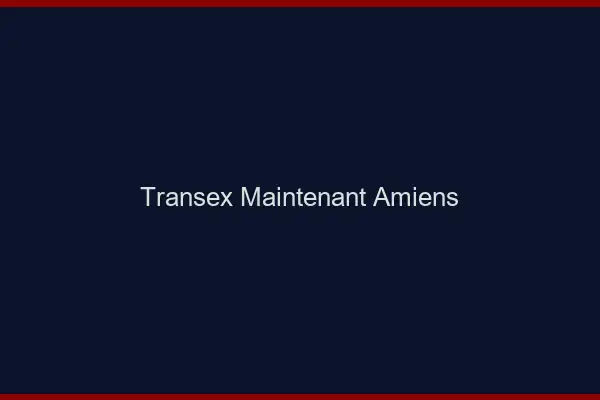 Transex Maintenant Amiens