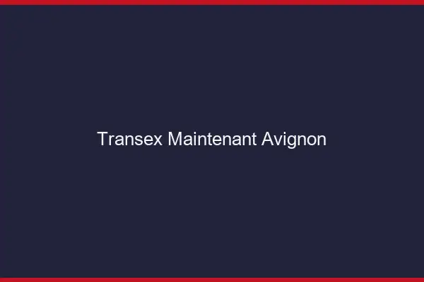 Transex Maintenant Avignon