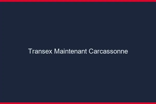 Transex Maintenant Carcassonne