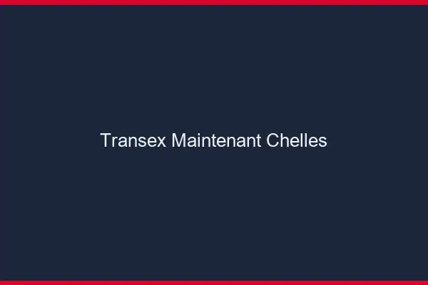 Transex Maintenant Chelles