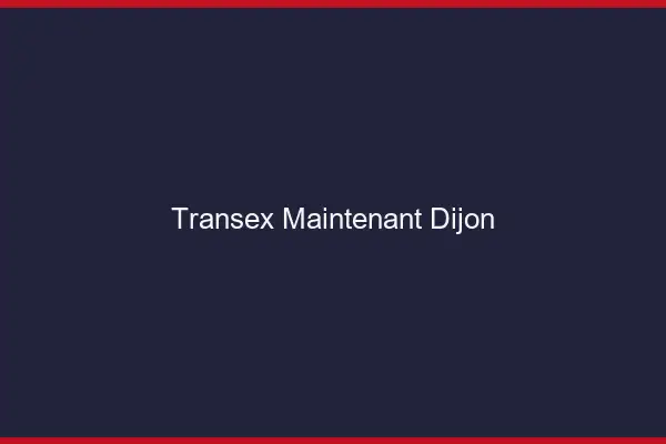 Transex Maintenant Dijon