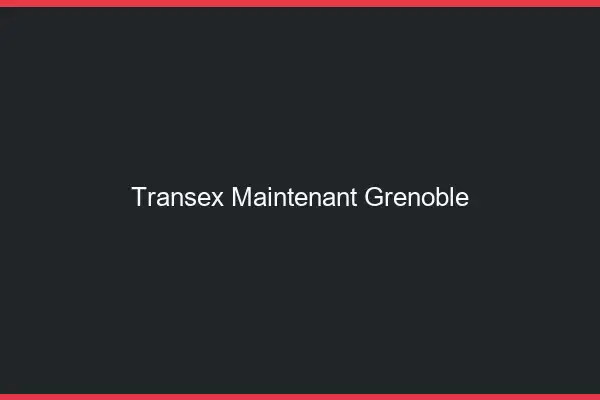 Transex Maintenant Grenoble