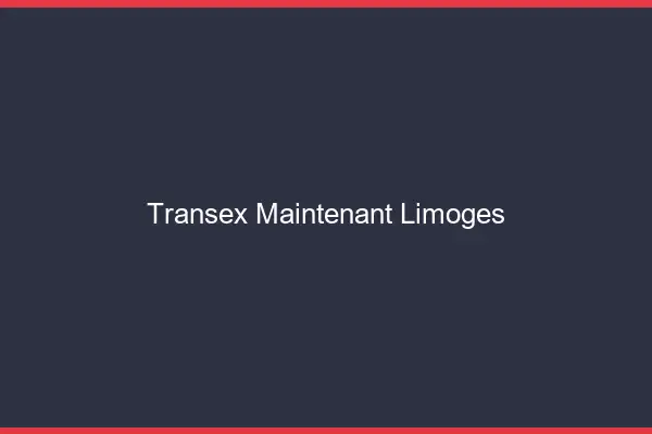 Transex Maintenant Limoges