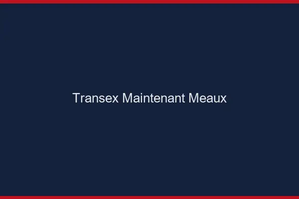 Transex Maintenant Meaux