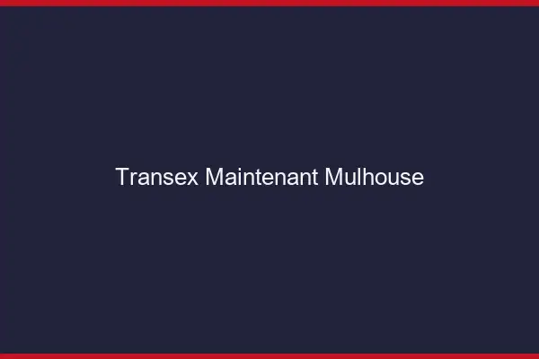 Transex Maintenant Mulhouse