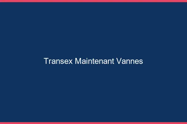 Transex Maintenant Vannes