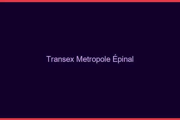 Transex Métropole Épinal