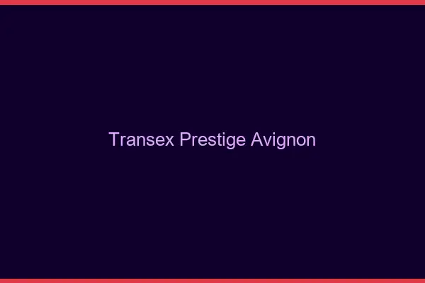 Transex Prestige Avignon