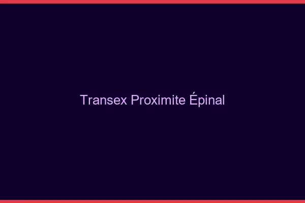 Transex Proximité Épinal