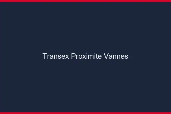 Transex Proximité Vannes