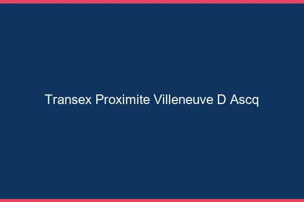 Transex Proximité Villeneuve-d'Ascq