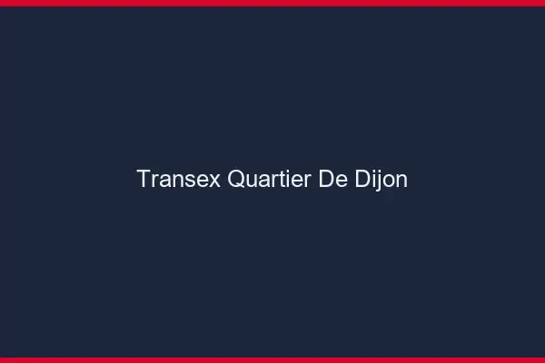 Transex Quartier de Dijon