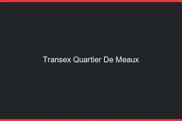 Transex Quartier de Meaux