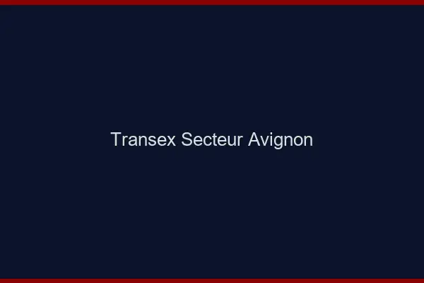 Transex Secteur Avignon