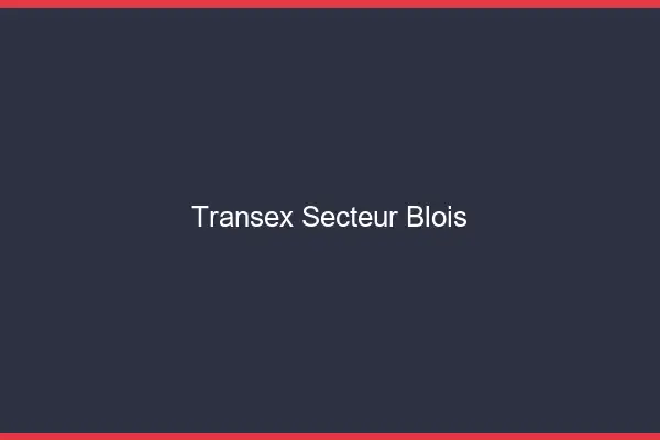 Transex Secteur Blois
