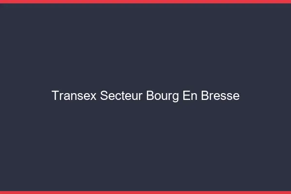 Transex Secteur Bourg-en-Bresse