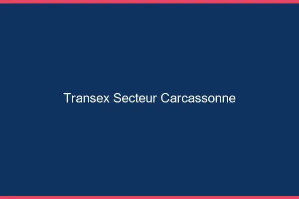 Transex Secteur Carcassonne
