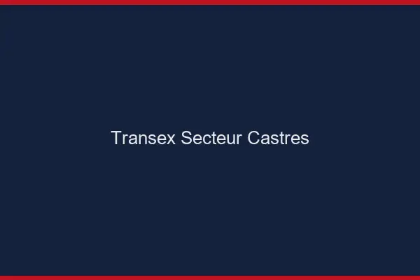 Transex Secteur Castres