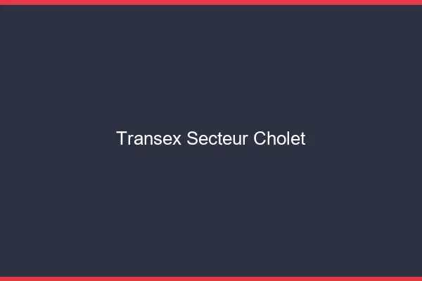 Transex Secteur Cholet