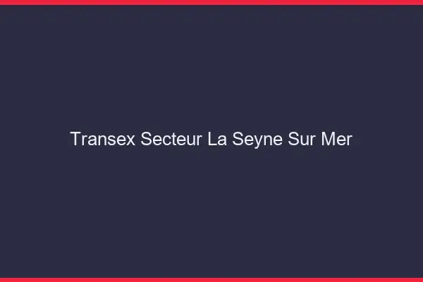 Transex Secteur La Seyne-sur-Mer