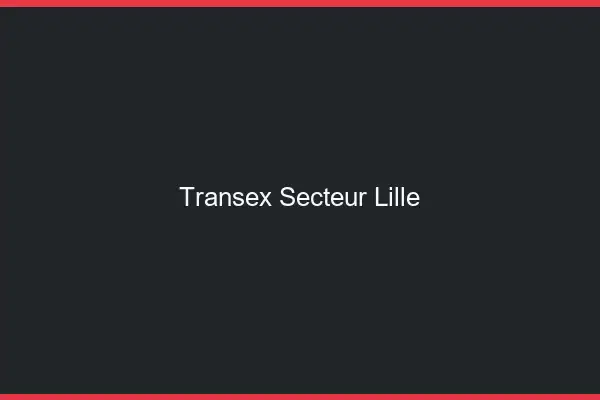 Transex Secteur Lille
