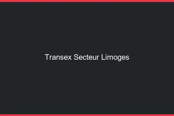 Transex Secteur Limoges