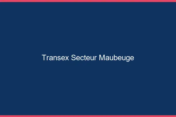 Transex Secteur Maubeuge