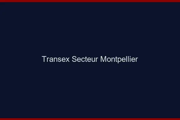 Transex Secteur Montpellier