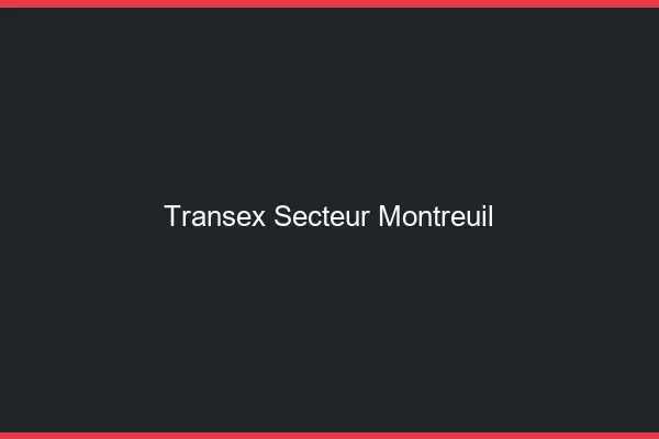 Transex Secteur Montreuil