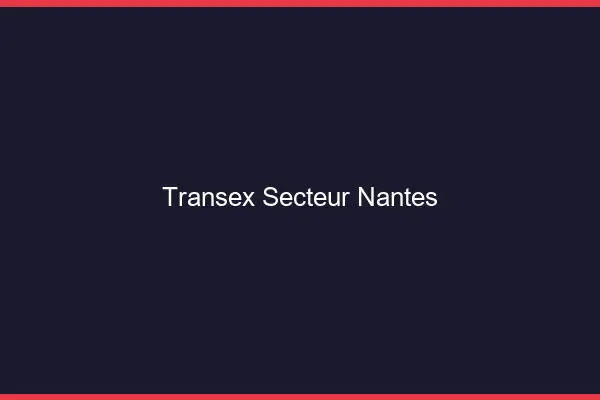 Transex Secteur Nantes