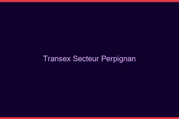 Transex Secteur Perpignan