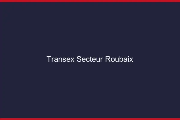 Transex Secteur Roubaix