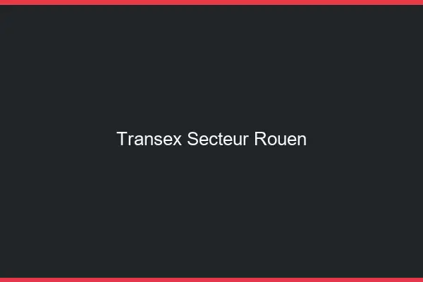 Transex Secteur Rouen