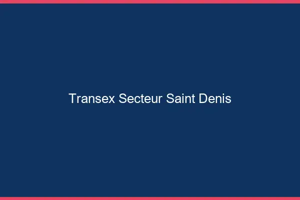Transex Secteur Saint-Denis