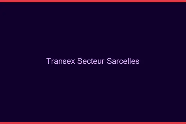 Transex Secteur Sarcelles