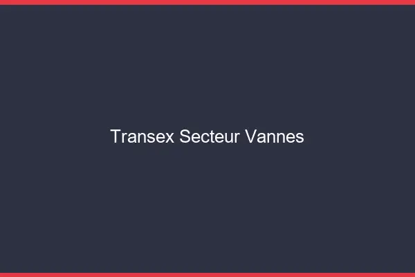 Transex Secteur Vannes