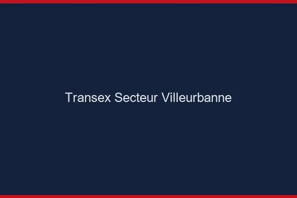 Transex Secteur Villeurbanne