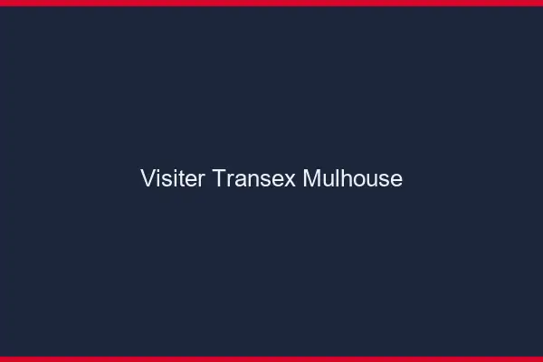 Visiter Transex Mulhouse
