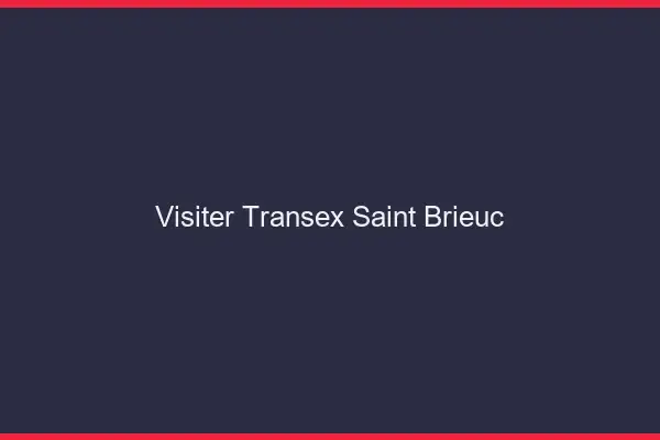 Visiter Transex Saint-Brieuc
