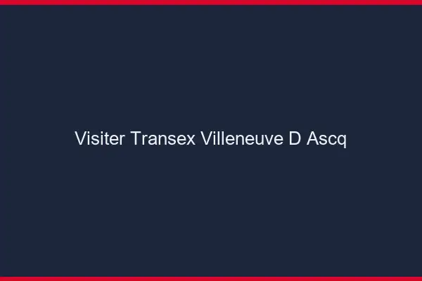 Visiter Transex Villeneuve-d'Ascq