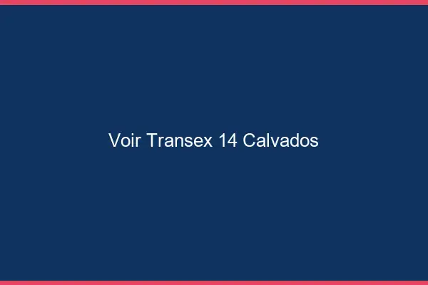 Voir Transex 14 Calvados