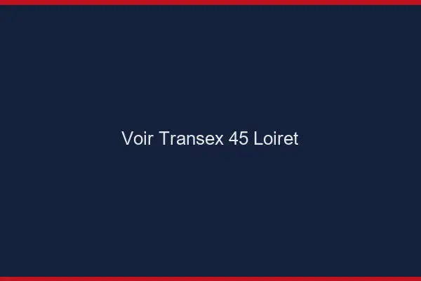 Voir Transex 45 Loiret