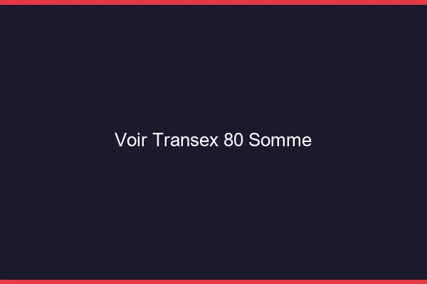 Voir Transex 80 Somme