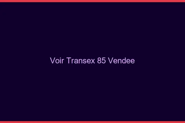 Voir Transex 85 Vendee