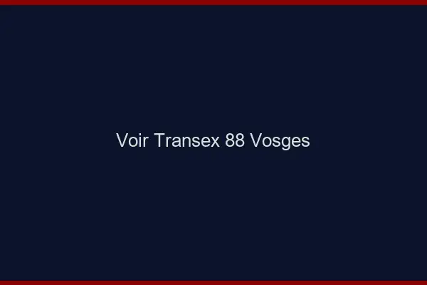 Voir Transex 88 Vosges