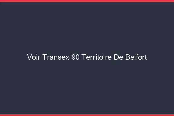 Voir Transex 90 Territoire De Belfort